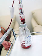 専用ビンに採血